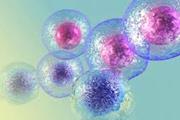 از پوست تا مغز: سلول های بنیادی بدون مدیفیکاسیون ژنتیکی