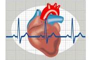 تحریک الکتریکی می تواند ویژگی های ضربانی سلول های قلبی در حال تشکیل را تنظیم و هماهنگ سازد