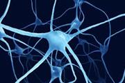 اندازه گیری ارتباط بین نورون های حرکتی مشتق از سلول های بنیادی و سلول های عضلانی