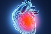 تبدیل بافت اسکار به عضله قلب بعد از حمله قلبی