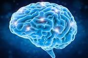 اثر منفی الکل بر روی فعالیت سلول های مغزی
