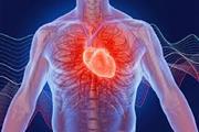 گاهی ویروس های بی ضرر به سیستم الکتریکی قلبی حمله می کنند
