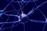 از دست دادن سلول‌های عصبی، عامل اصلی خواب‌آلودگی بیماران آلزایمر 