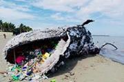 پلت فرم جدیدی برای ارزیابی خطر آلودگی های پلاستیکی بر سلامت انسان