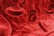 تولید سلول‌های ایمنی از سلول‌های بنیادی خونساز  