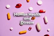 متالوپروتئینازها در سلامت و بیماری انسان 