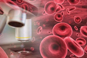 گامی مهم در ایجاد سلول‌های بنیادی خون از سلول‌های اندوتلیال عروقی 