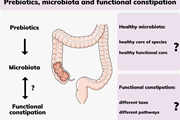 بررسی مجدد میکروبیوم روده و نقش آن در اسهال و یبوست