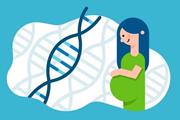 ارتباط ژنوم با رشد جفت و جنین در انسان 