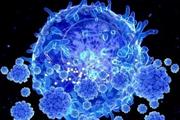 نقش سلول‌های بنیادی در فعالیت ژنی سلول‌های ایمنی 