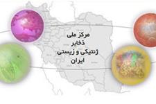 فراخوان اهدای وکتور به مرکز ملی ذخایر ژنتیکی و زیستی ایران