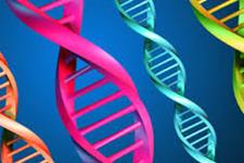 ابداع روش جدید تولید قطعات DNA