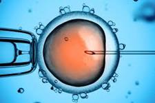 مطالعات اپی ژنتیکی بر روی سلول های جنینی