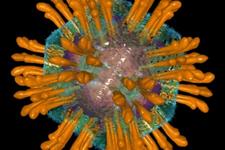 روشی نوین جهت ردیابی ویروس ها با استفاده از نانوذرات طلا
