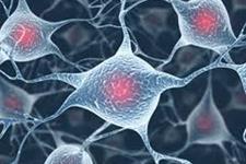 استفاده از سلول های بنیادی برای بهبود ترمیم عصبی