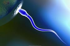 کاوش نقص اسپرم های نابارور با استفاده از نانوذرات
