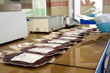 6500 نمونه از خراسان به بانک خون بندناف رویان ارسال شده است