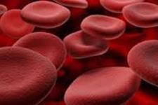 آزمایش های انسانی خون ساخته شده ظرف دو سال