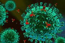 سلول های ایمنی ضد ویروسی می تواند مانع از عفونت های ضد ویروسی ایجاد شده به وسیله سیتومگالوویروس ها شود