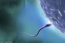 مزایای استفاده از اسپرم چسبنده برای IVF