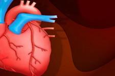 بررسی درمان با سلولهای آلوژن برای بیماران قلبی در کنگره قلب