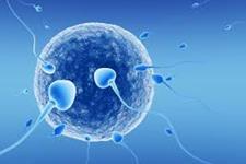 تشخیص موتاسیون در جنین های انسانی حاصل از IVF با استفاده از توالی یابی کل ژنوم