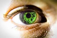 تبدیل سلول های بنیادی به بافت چشم می تواند موجب احیا بینایی شود