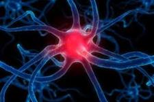 ارتباط کمبود چربی با تحلیل رفتن نورون ها