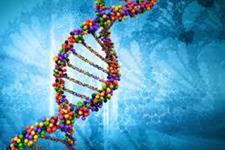 مشاهده بازبرنامه ریزی DNA در سلول های زایای انسانی برای اولین بار