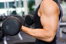 سلول های بنیادی به ترمیم و تقویت عضلات بعد از تمرینات استقامتی کمک می کنند