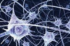 یک ترکیب دارویی ساده که نورون های جدیدی را از سلول های مجاور ایجاد می کند