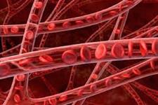 سلول های بنیادی می توانند به ترمیم عروق خونی آسیب دیده کمک کنند