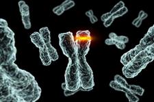 تصحیح موتاسیون ژنتیکی پشت پرده سندرم اتو ایمن کشنده IPEX