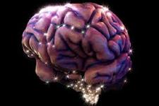 شواهد جدید دال بر نقش LPC-DHA در تکوین جنینی مغز 