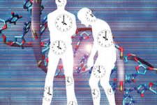 ساعت اپی ژنتیک پیش بینی کننده سن بیولوژیک، برای مطالعه چگونگی افزایش طول عمر