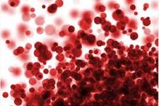 روده ها، منبعی جالب  و عجیب برای برخی سلول های خونی
