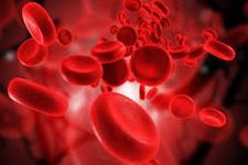 محققین می گویند عدم مصرف اسید های آمینه والین منجر به از دست رفتن سلول های بنیادی خونی می شود