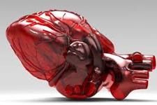 تزریق سلول های بنیادی بعد از حمله قلبی موجب احیای قلب می شود