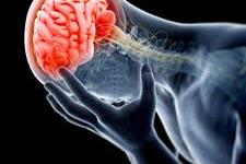 سلول های بنیادی مشتق از چربی می تواند به بیماران مبتلا به آسیب مغز ترومایی کمک کند