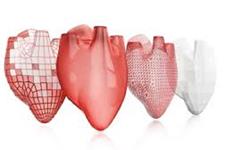 پرینت سه بعدی اندام ها که می تواند مشکل اهدای اندام را حل کند