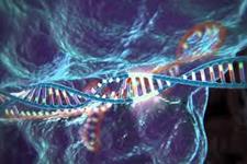 بازسازی بافتی با مولکول های هدف قرار دهنده ژن