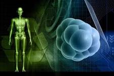 ژنی کلیدی برای بازبرنامه ریزی شیمیایی سلول های بنیادی انسانی