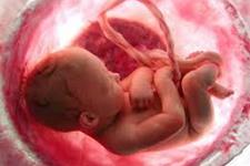 بیولوژی مایع رحمی: چگونه جنین را از دنیای مادر مطلع می سازد