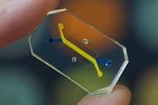 تکنولوژی Lung-on-a-chip فیبروز ریوی را شبیه سازی می کند