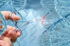  ژن درمانی و آینده پیش رو