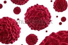 تولید ویروس هایی برای حمله انتخابی به سلول های توموری