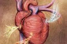 تولید قلب های ضربان دار سه بعدی