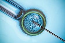 استفاده از جنین های فریز شده برای ایجاد بارداری طی IVF موفقیت آمیزتر است