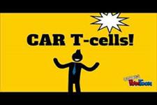 سلول های CAR T مشتق از سلول های بنیادی خون ساز قادر به پیوندهای باثبات هستند