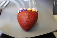 طراحی یک قلب مصنوعی با  استفاده از ویژگی های فوم متخلخل
